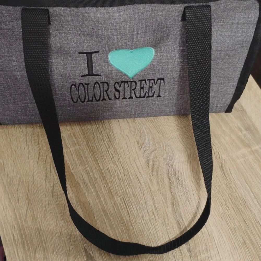 Thirty-one Storage Carrying Case